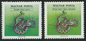 1989_sikló_vipera_tévnyomat